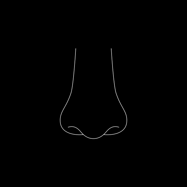 Puhdista ja Kuivaa nenä